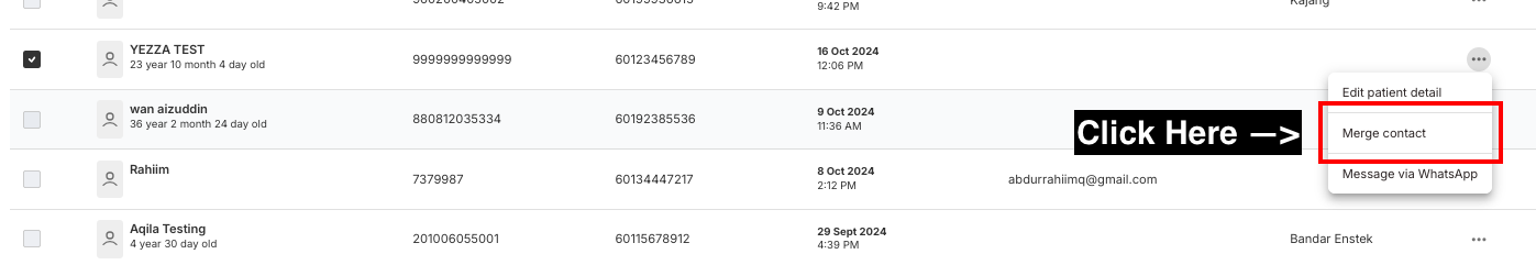 Screenshot 2024-11-05 at 1.11.42 PM.png